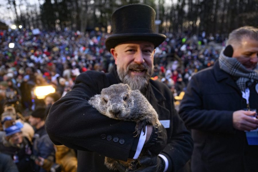 why-do-groundhogs-emerge-on-february-2-if-it’s-not-to-predict-the weather?