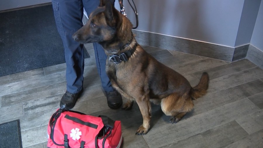 canfield-k-9s-now-equipped-with-first-aid-kits