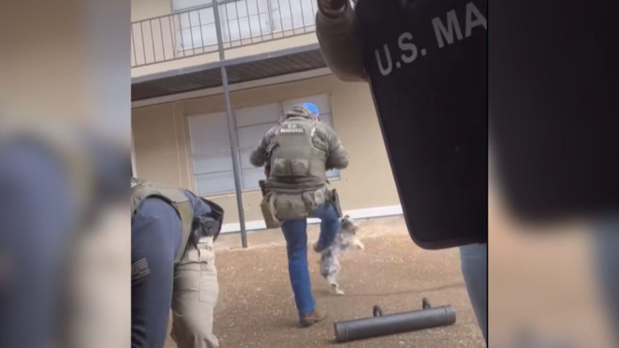 watch:-us.-marshal-kicks-dog-in-memphis