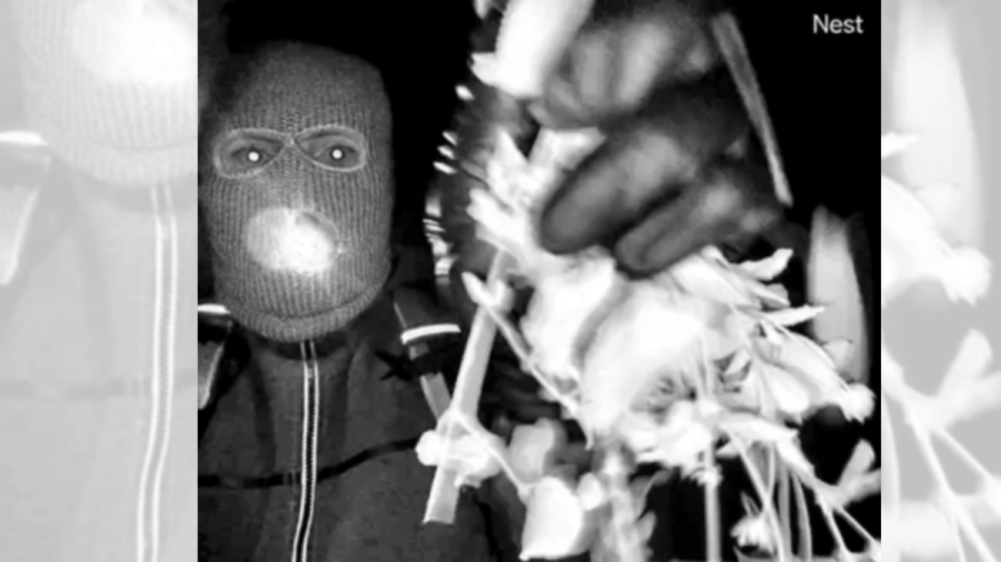 surveillance-photos-of-‘armed-individual’-at-nancy-guthrie’s-house-released