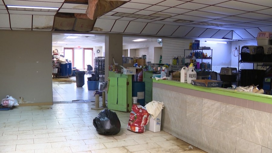 struthers-animal-shelter-forced-to-move-after-building-condemned