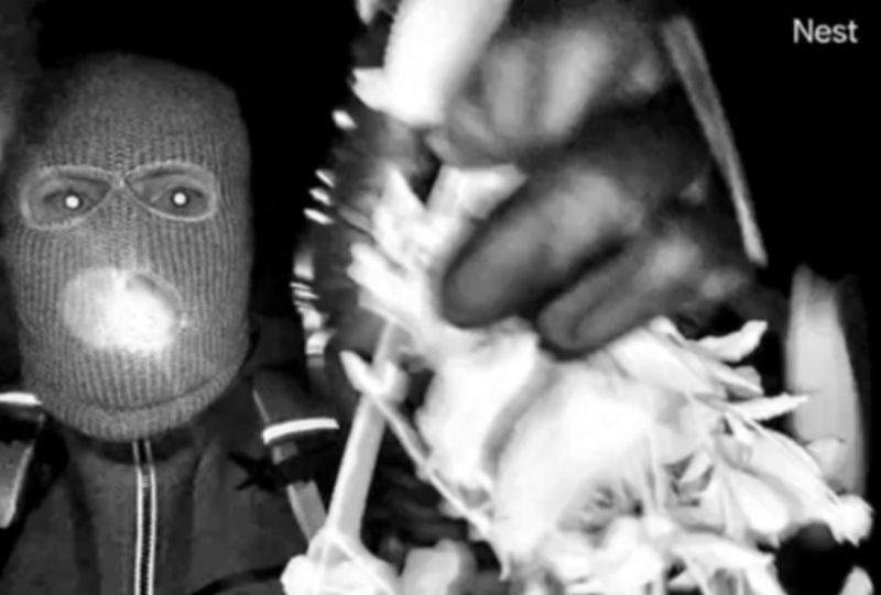 fbi-gives-description-of-masked-suspect-at-nancy-guthrie-home,-ups-reward