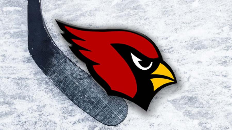 canfield-hockey-falls-in-state-tournament