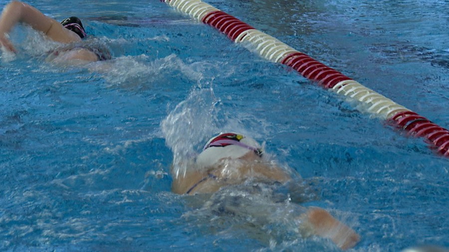 canfield-takes-five-swimmers-to-state-meet
