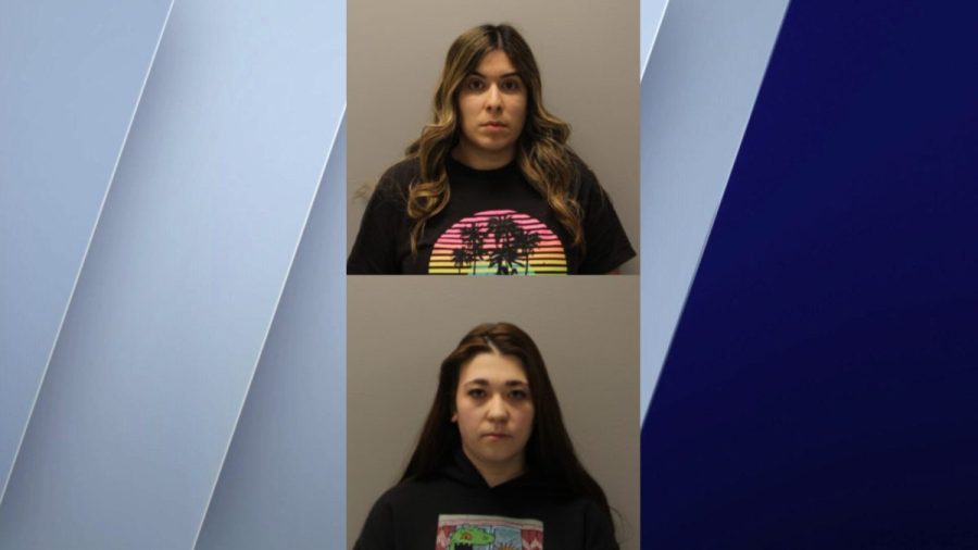 suburban-chicago-day-care-workers-charged-with-attacking-7-children