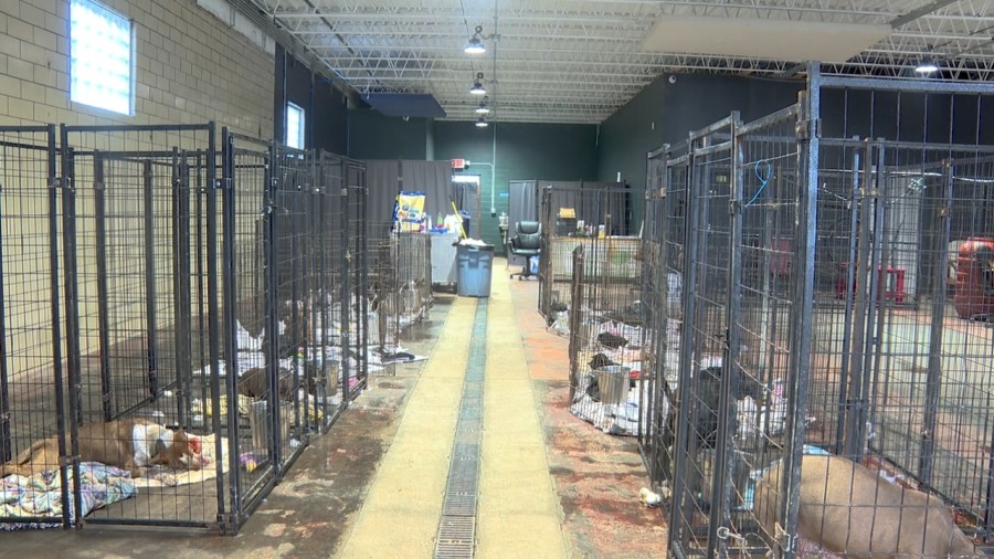 new-lease-on-life-settles-into-new-location-after-previous-building-condemned