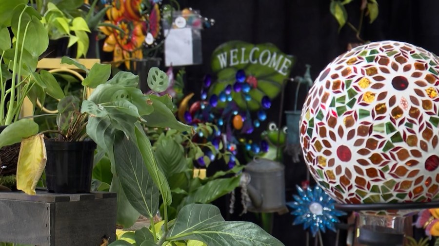 spring-is-in-the-air-at-local-home-and-garden-show