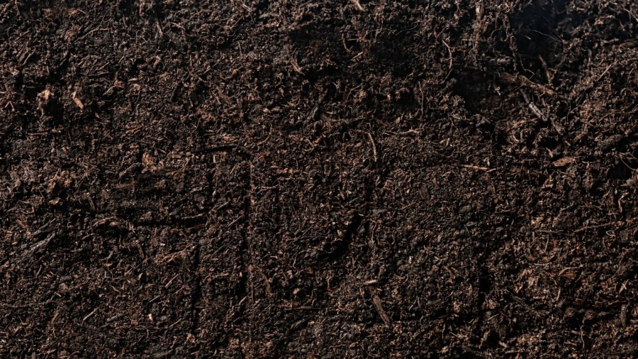 ohio-bill-would-allow-humans-to-be-composted-after-death