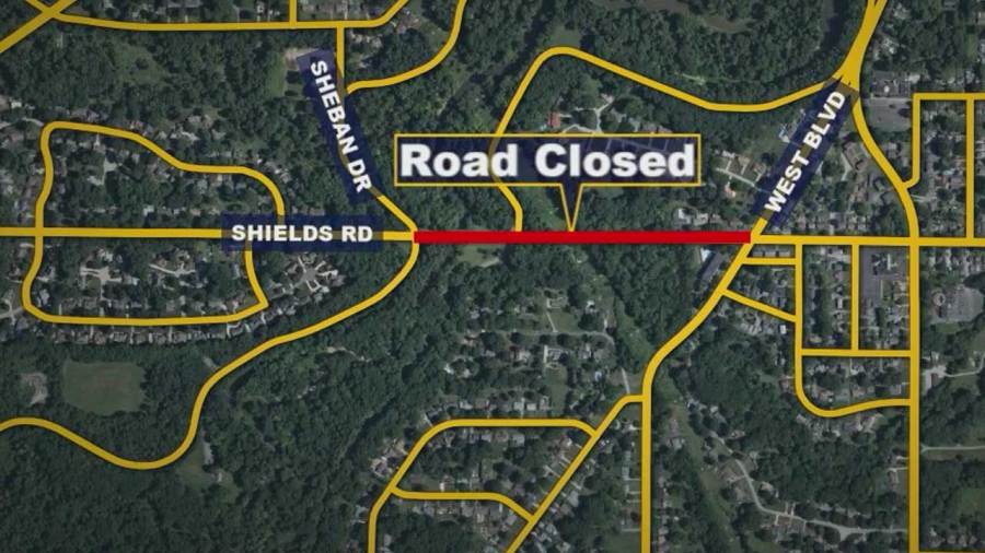 tree-removals-prompt-closures-in-busy-mahoning-county-areas