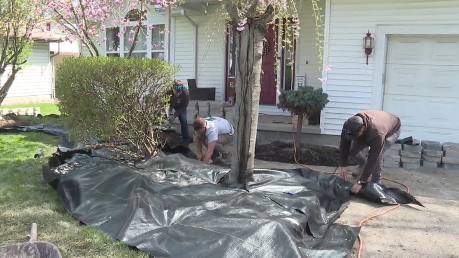 here’s-what-you-need-to-know-for-planting-season