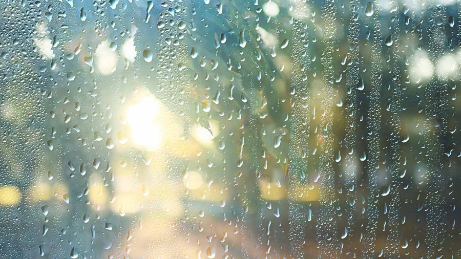 ‘in-like-a-lamb?’-march-weather-outlook-issued