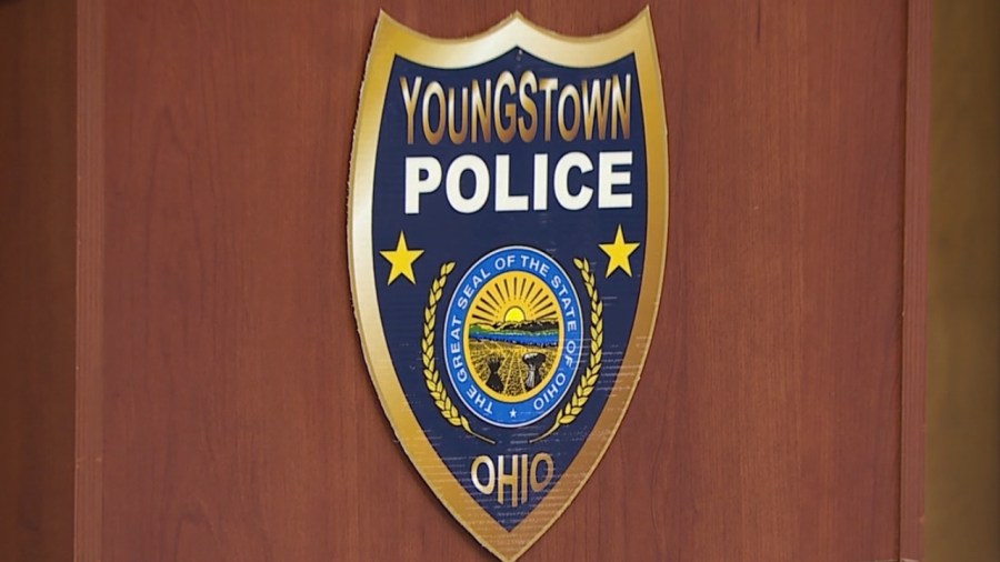 ypd:-pizza-delivery-driver-robbed-late-sunday-on-south-side