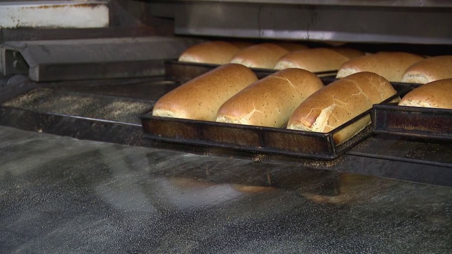 jobsnow:-schwebel’s-hiring-for-many-positions-in-youngstown