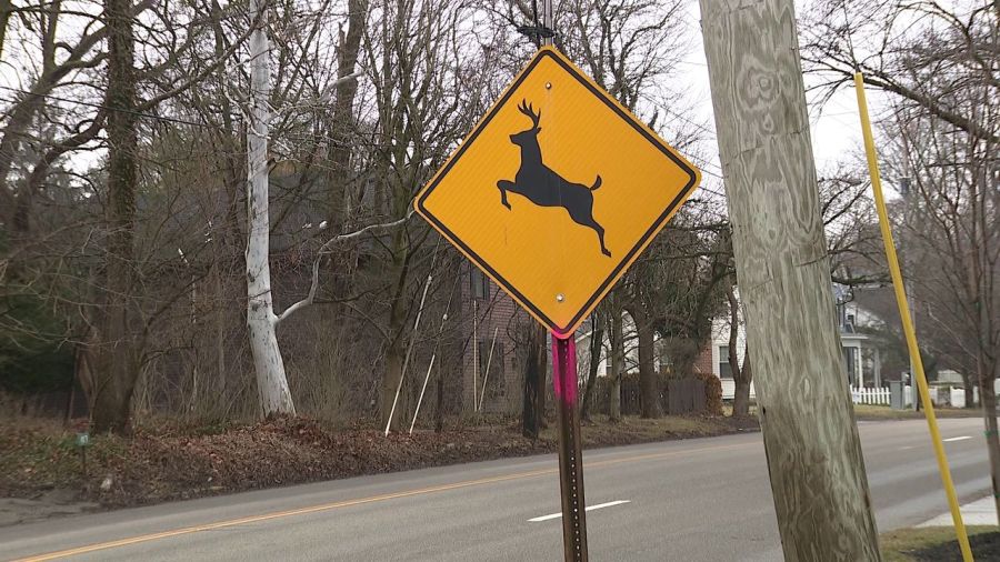 pink-paint-marks-signs-for-replacement-in-valley