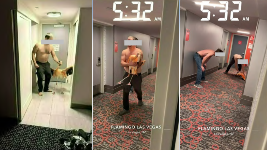 tourist-stole,-tortured-flamingo-at-iconic-las-vegas-strip-hotel:-police