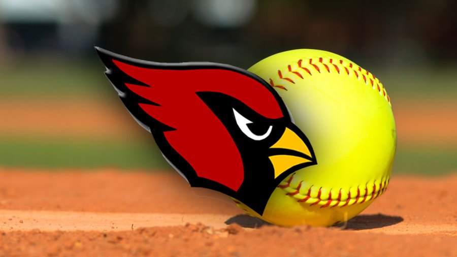 canfield-high-school-cardinals’-softball-preview