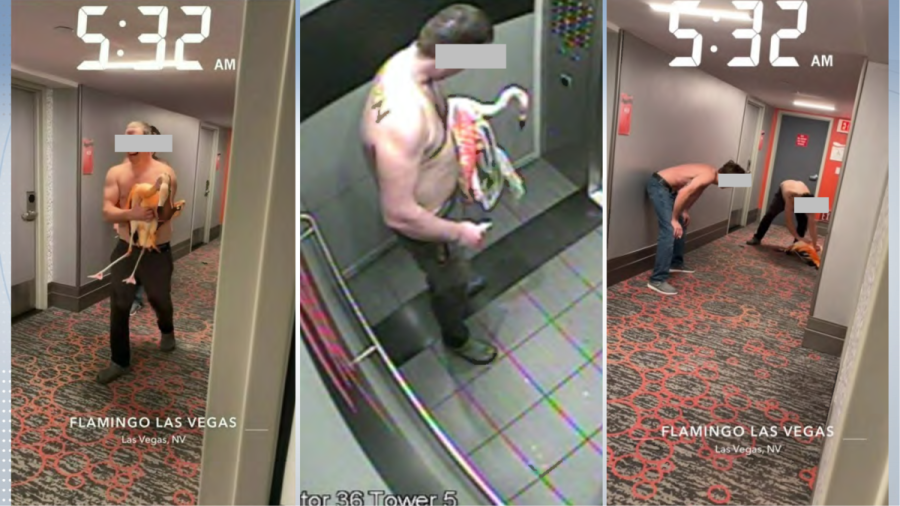 canadian-tourist-must-remain-in-las-vegas-after-alleged-flamingo-abuse