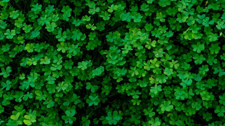 mahoning-valley-st.-patrick’s-day-parade:-weather-history-and-outlook