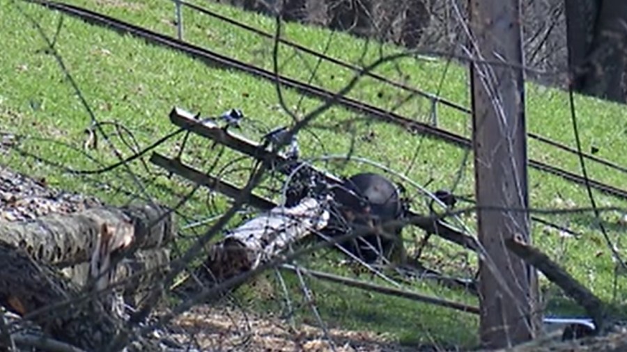 trees,-powerlines-down-after-high-winds-blow-through
