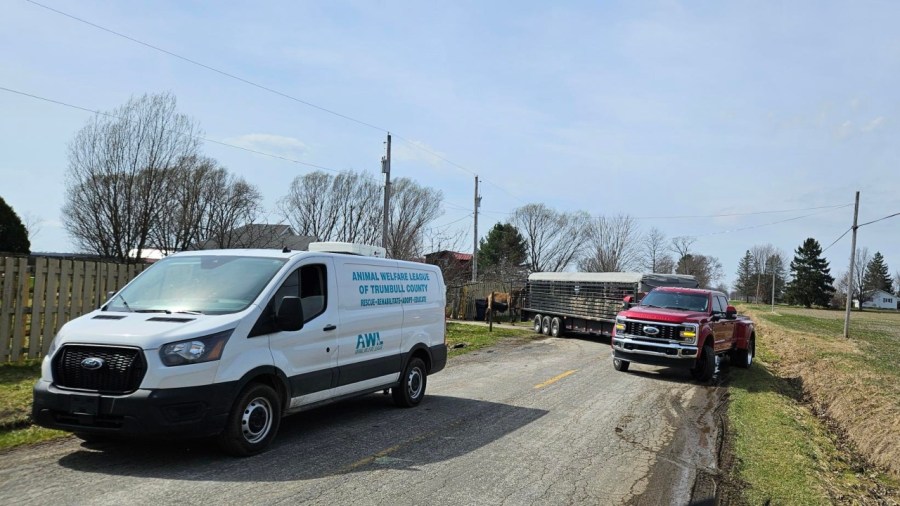 humane-agent:-30-dead-dogs-pulled-from-house-fire