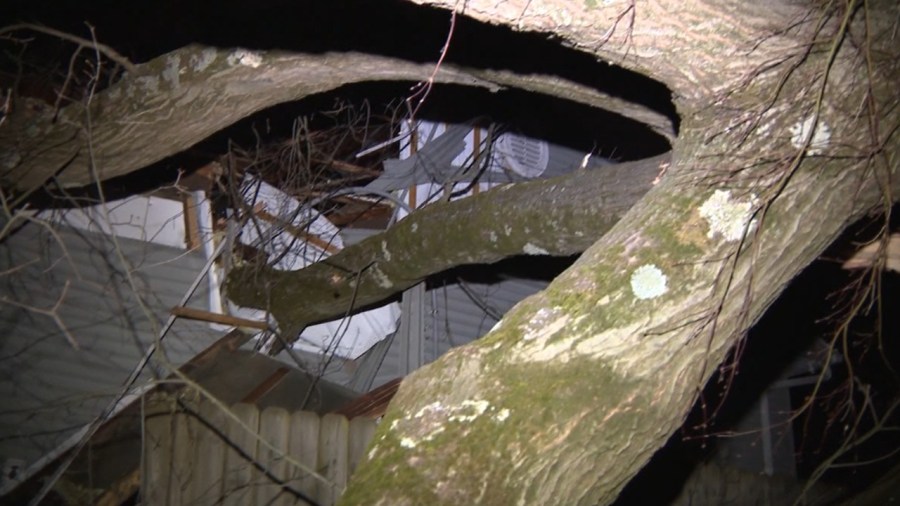 tree-falls-on-house-in-howland