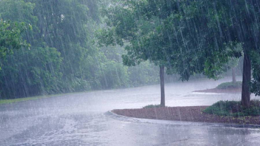 tree-falls-on-house-in-howland