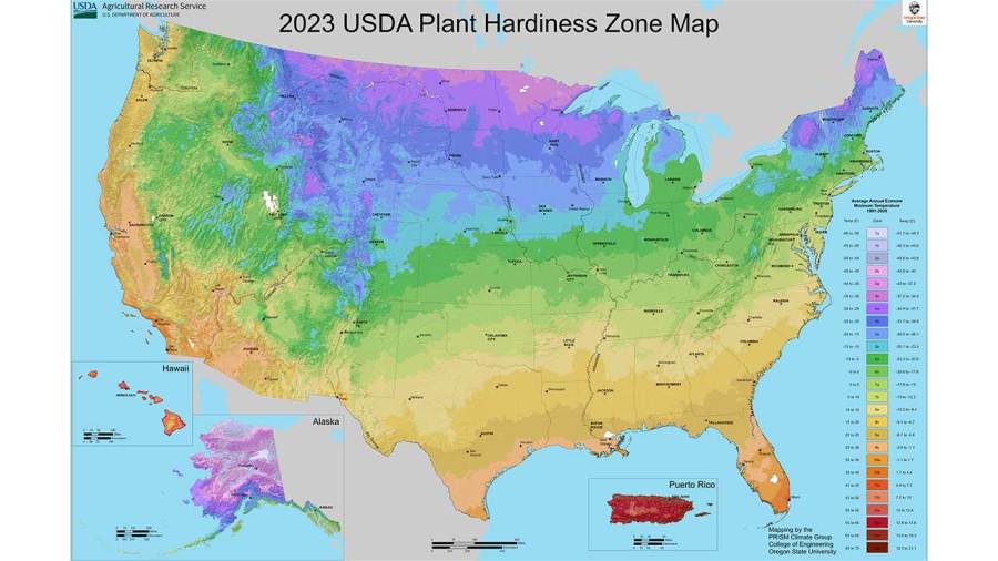 what-is-a-gardening-zone,-and-how-can-it-help-your-planting?