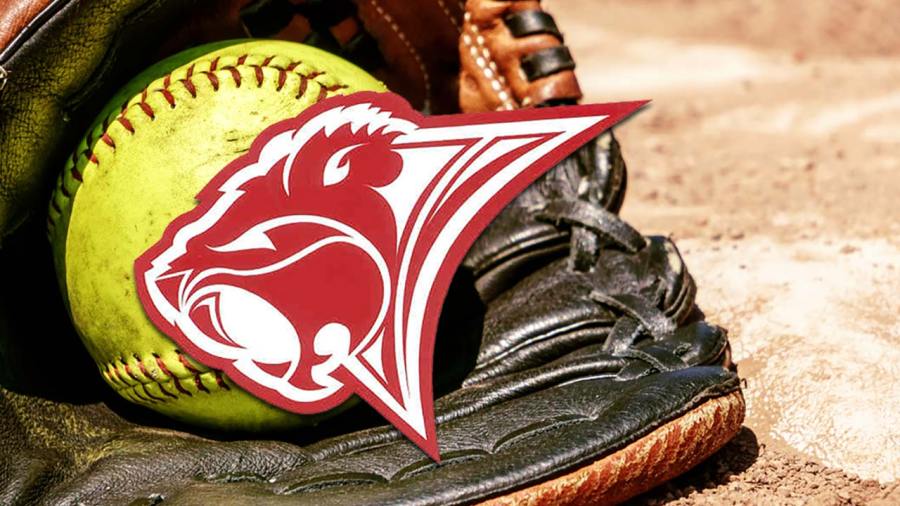 beaver-local-beavers-high-school-softball-preview