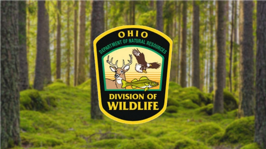 rule-changes-proposed-for-this-hunting-season-in-ohio