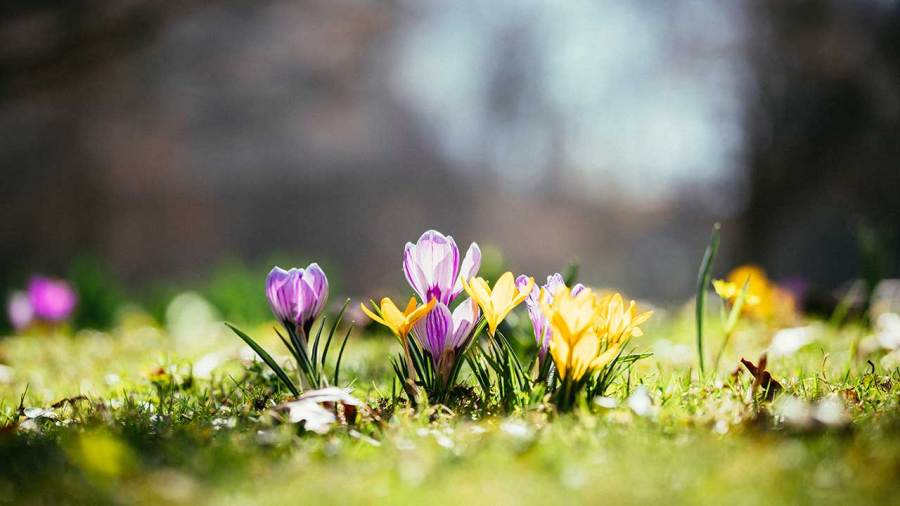 what-time-does-spring-arrive-on-friday?