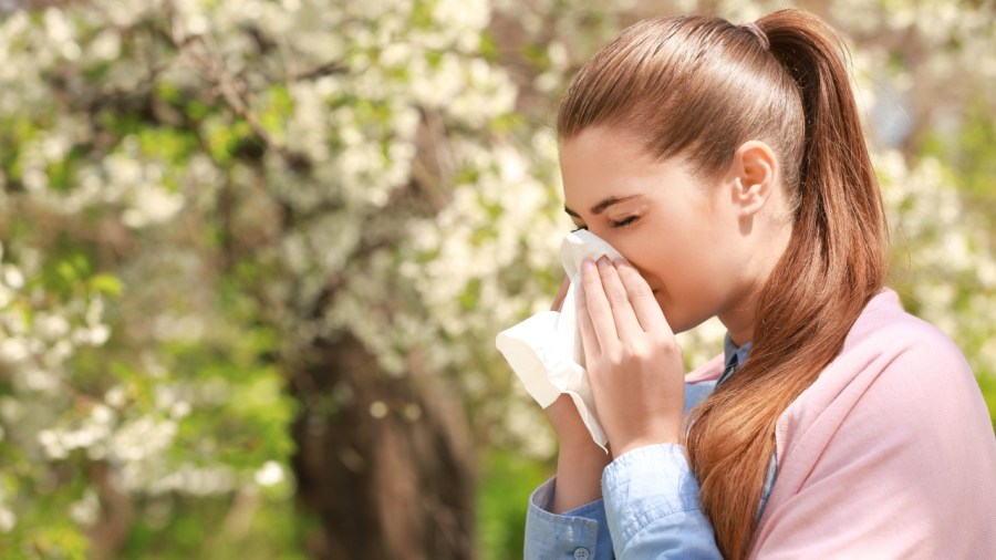 how-to-get-relief-from-seasonal-allergies