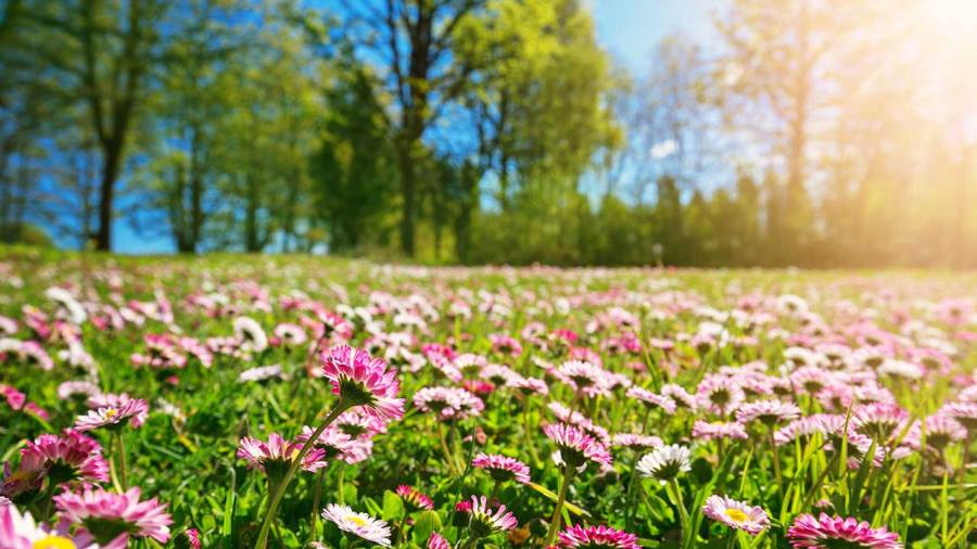 two-types-of-spring:-what’s-the-difference-and-why?