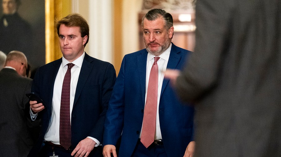 cruz-proposes-splitting-ice-from-homeland-security-funding-bill-to-end-airport-chaos