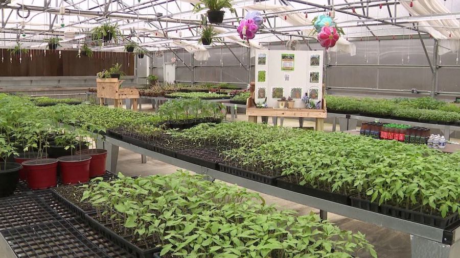fundraiser-uses-garden-bed-sponsorship-for-mobile-market