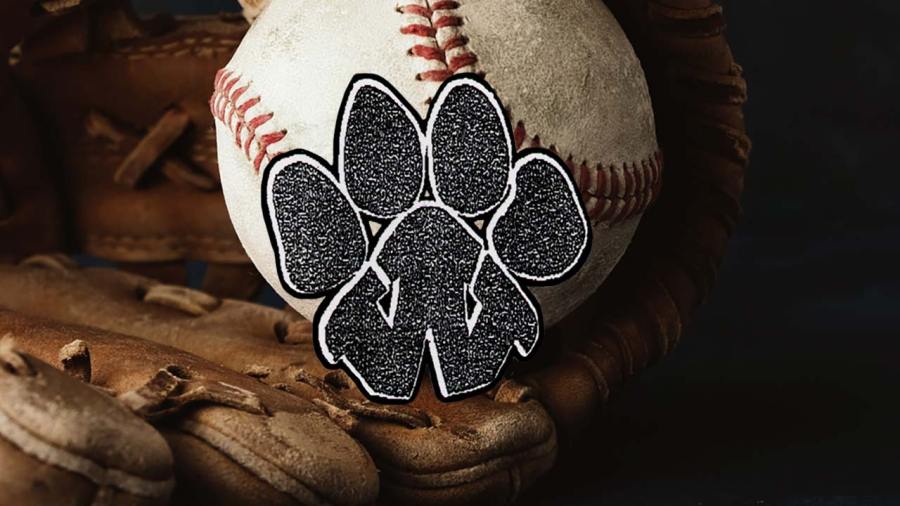 wellsville-tigers-high-school-baseball-preview