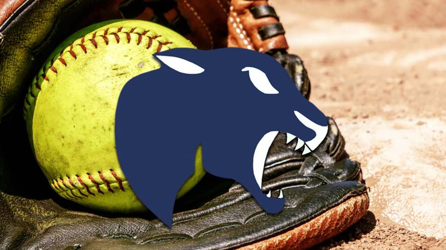 bristol-panthers’-high-school-softball-preview