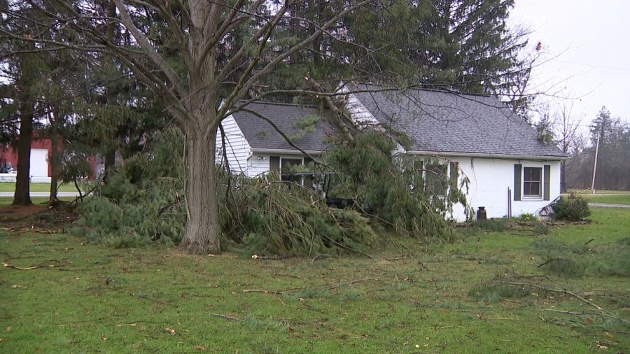 tree-falls-on-roof-of-house-during-tornado-warning