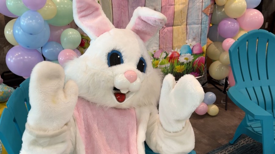 jeepster-bunny-event-provides-free-identi-kits-for-families