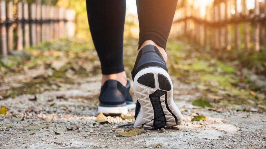 funding-approved-for-trail-connections-in-columbiana-county