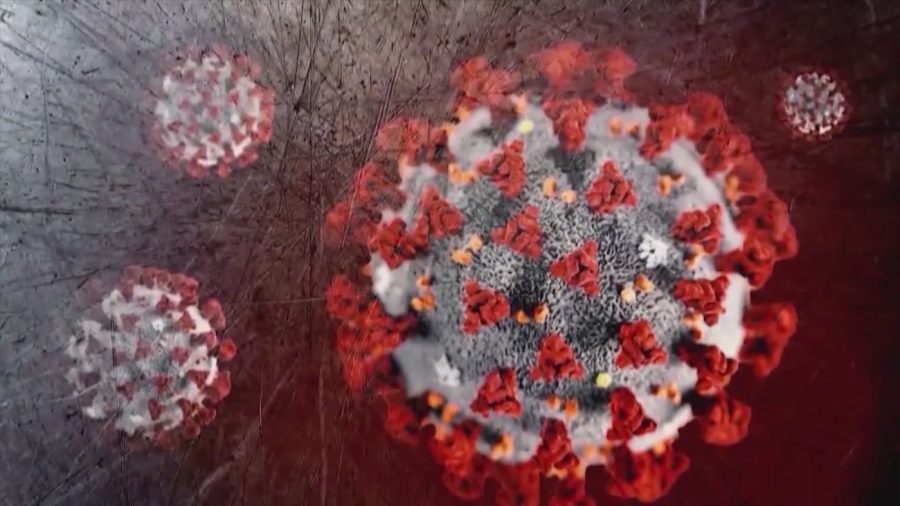 what-to-know-about-new-‘cicada’-covid-variant-detected-in-25-states