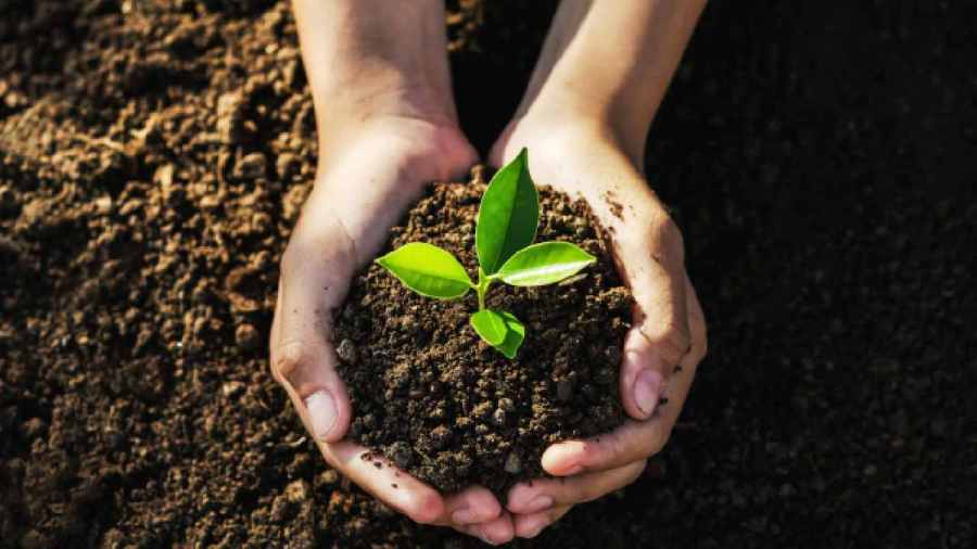 soil-moisture:-how’s-the-quality-looking-toward-april?