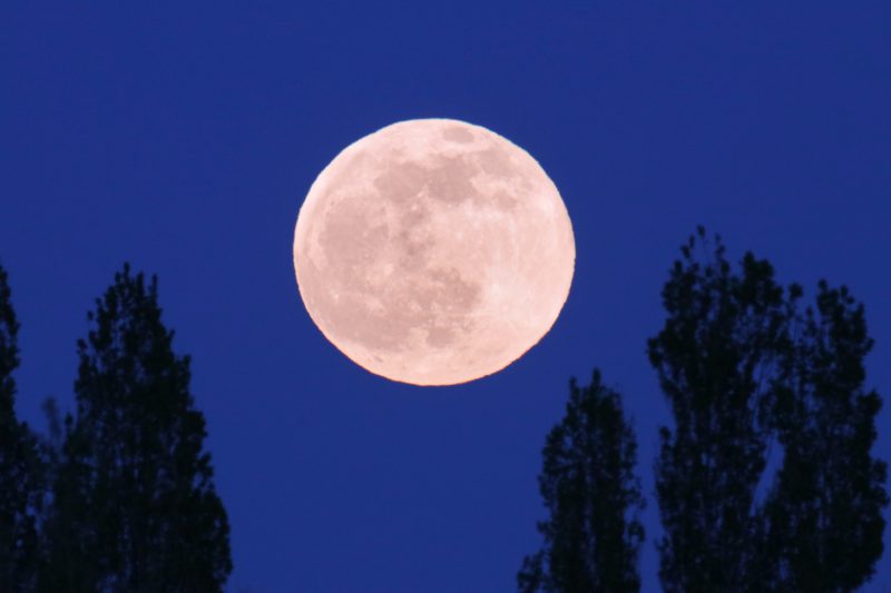 pink-moon-2026:-when-to-see-april’s-full-moon
