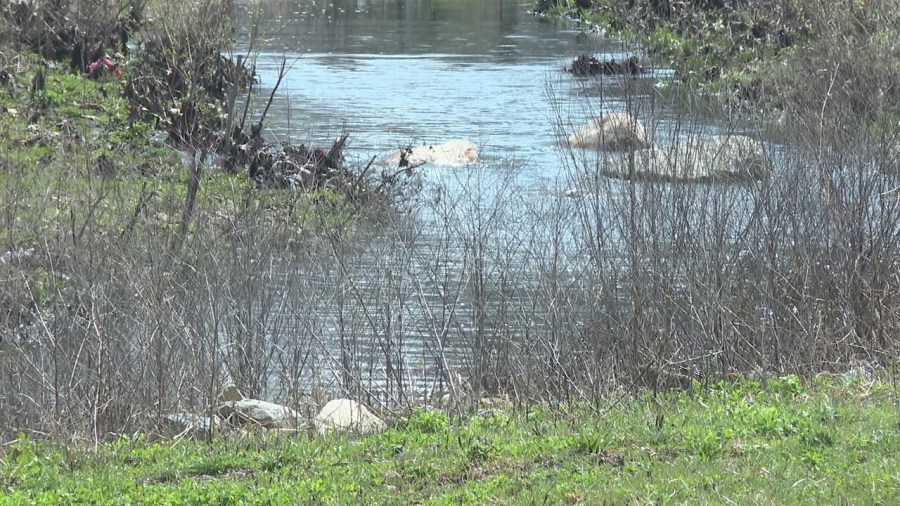 boardman-leader-says-retention-pond-is-helping-to-alleviate-flooding