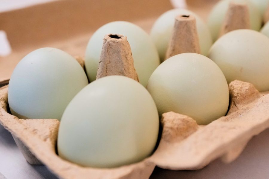 eggs-for-easter-cost-much-less-than-last-year