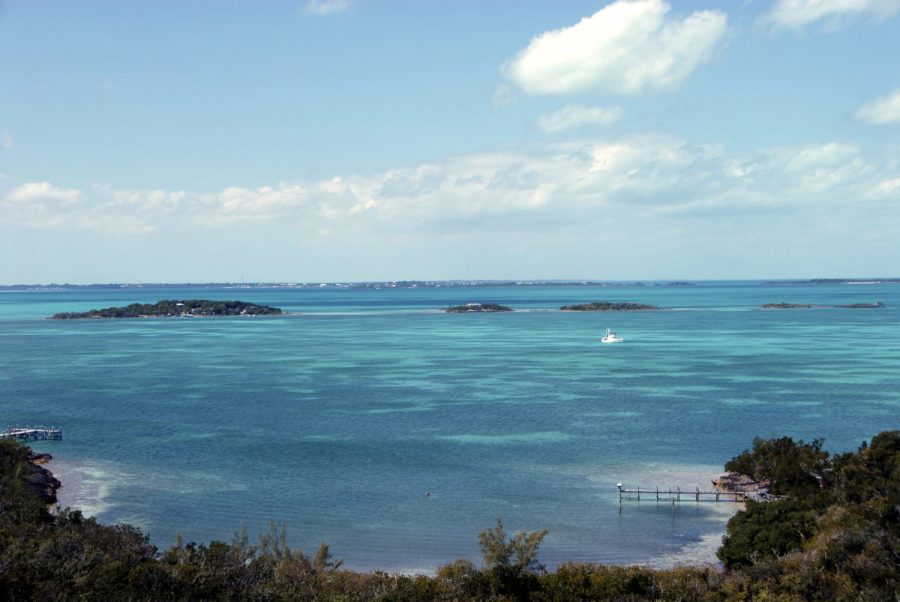 american-woman-missing-at-sea-after-husband-says-she-fell-overboard-in-bahamas