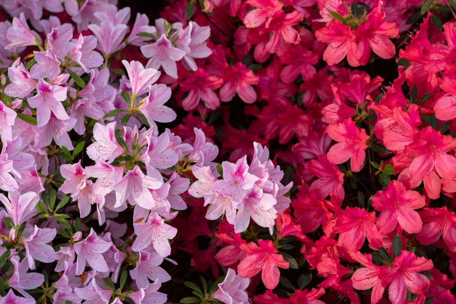 90th-masters-tournament-|-tuesday-updates