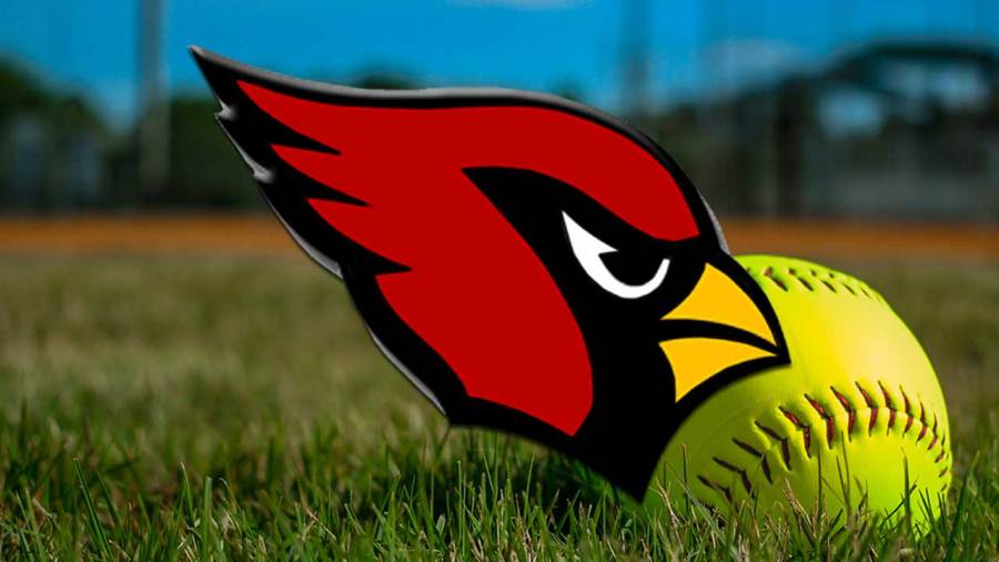 canfield-battles-but-falls-to-corning