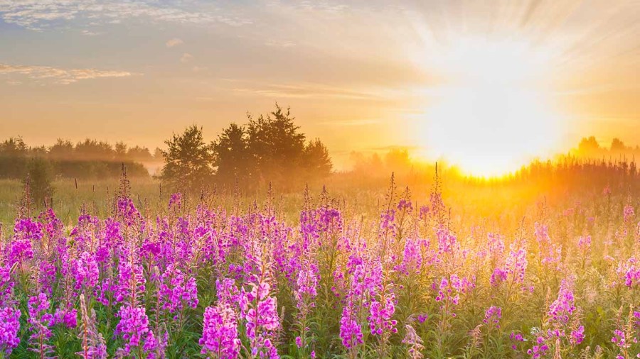 sunsets-hit-key-time-sunday-evening