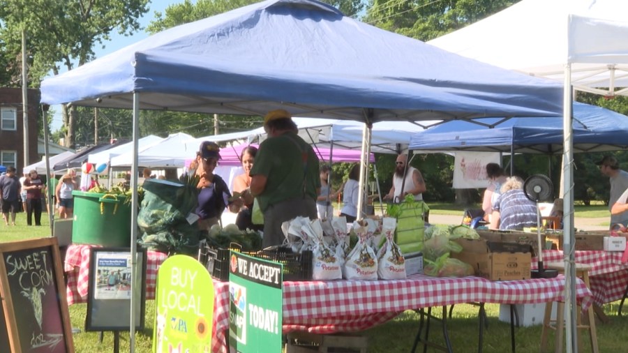 benefits-begin-soon-for-seniors-shopping-farmers-markets