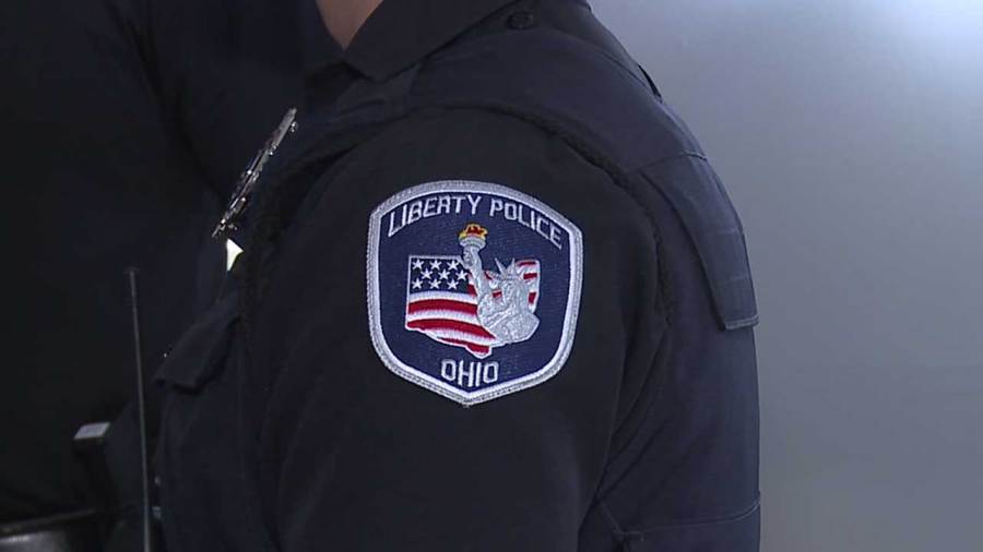 intruder-drinks-grey-goose-disrobes-in-front-of-camera:-report